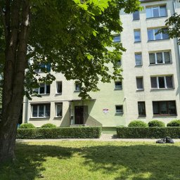 Dawid Magoska MagosClean - Przycinanie żywopłotów oraz koszenie trawnika na zlecenie Wspólnoty Mieszkaniowej.