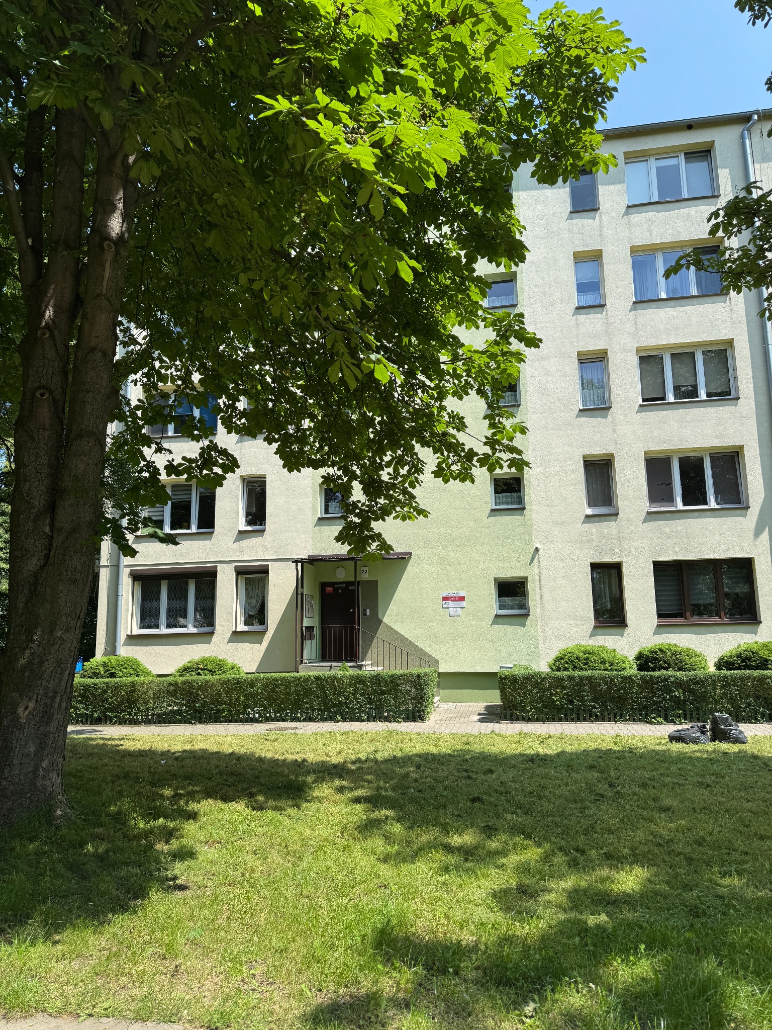 Przycinanie żywopłotów oraz koszenie trawnika na zlecenie Wspólnoty Mieszkaniowej.