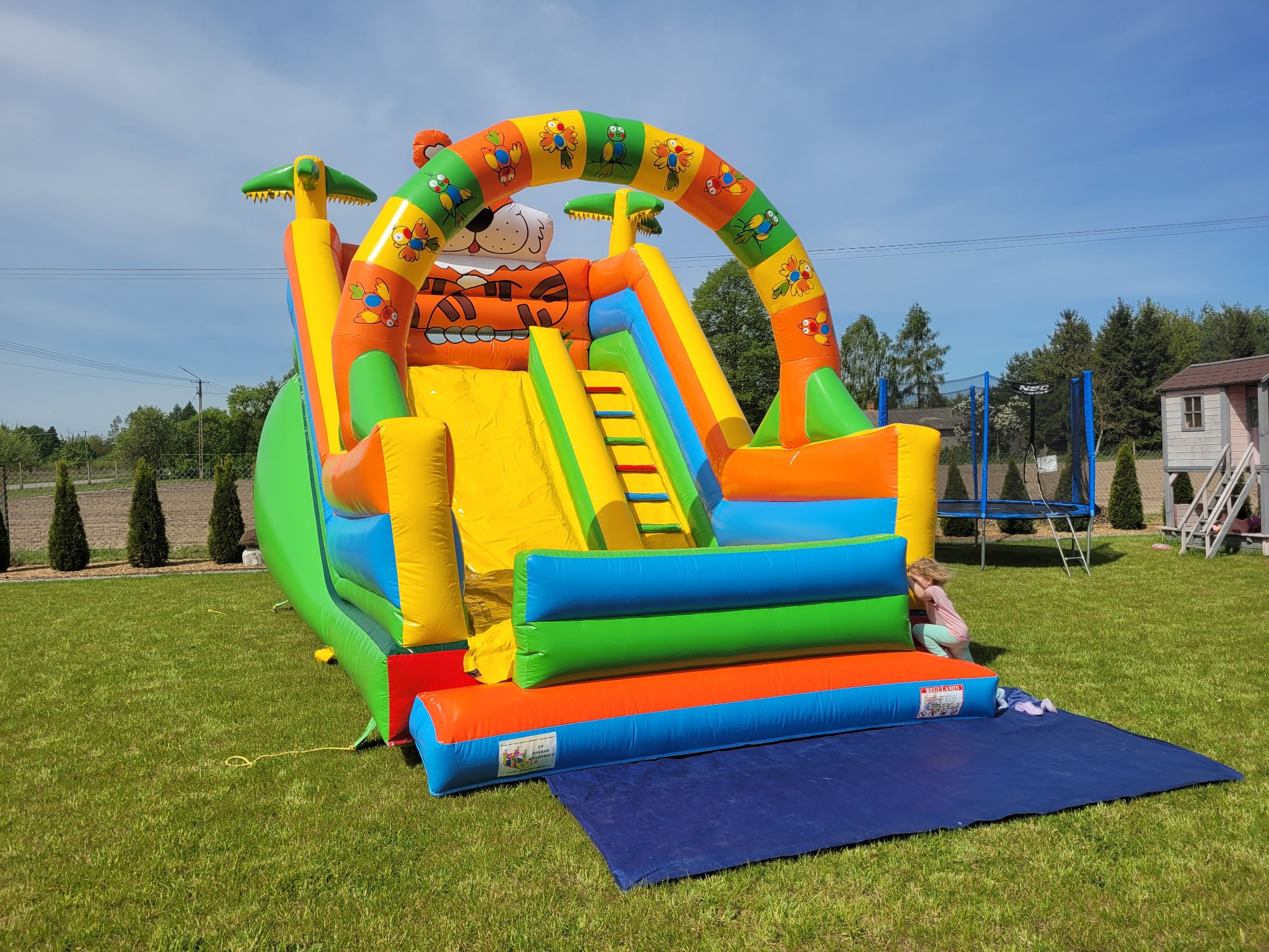 Kolorowa dmuchana zjeżdżalnia Tygrys na trawie, z małą dziewczynką w pobliżu. W tle zielone drzewa, trampolina i błękitne niebo.