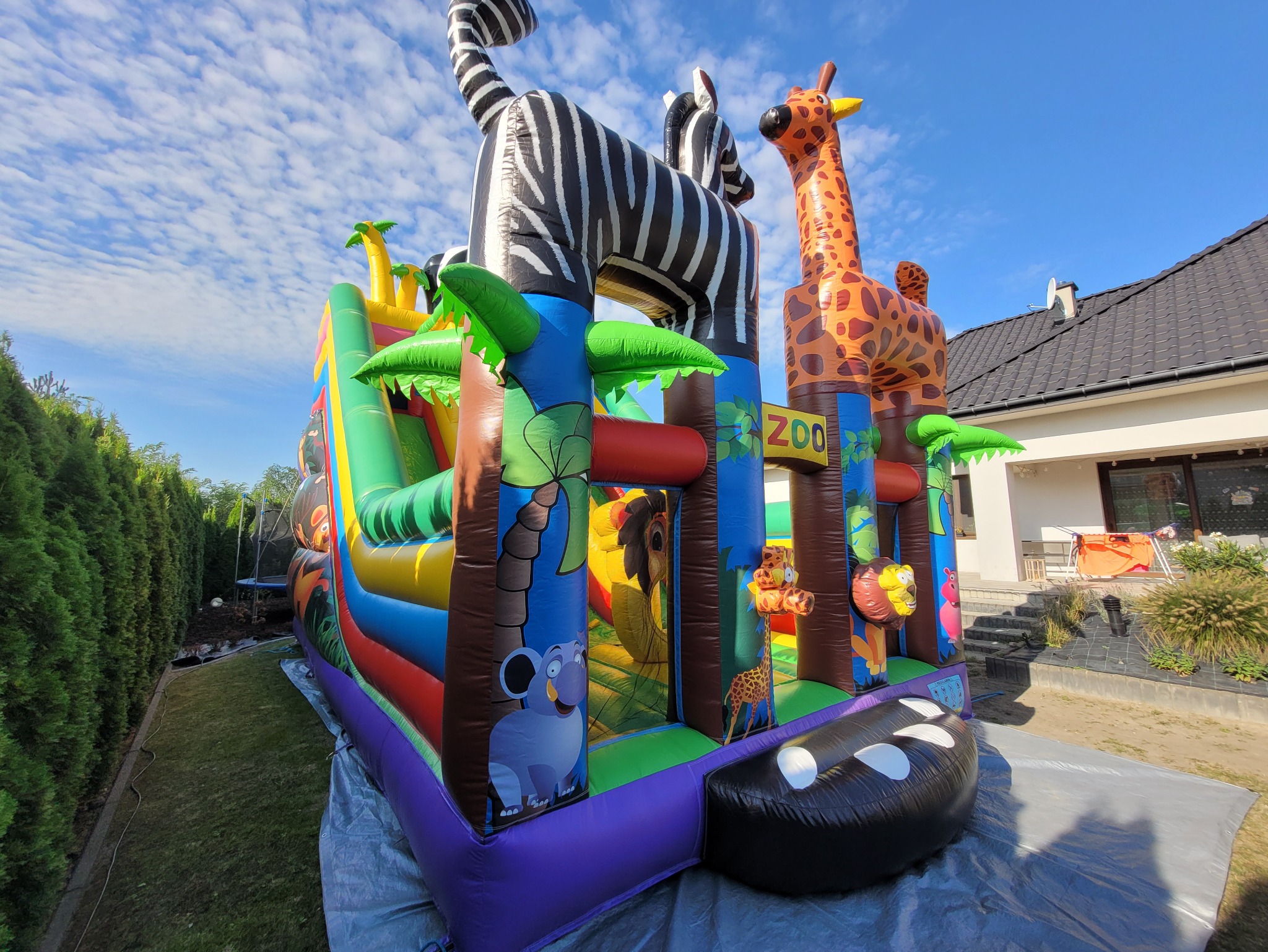 Kolorowy dmuchaniec Zoo z żyrafą i zebrą na tle błękitnego nieba, rozstawiony na trawniku. Widoczne detale: palmy, lew, słoń. Całość w jasnym świetle.