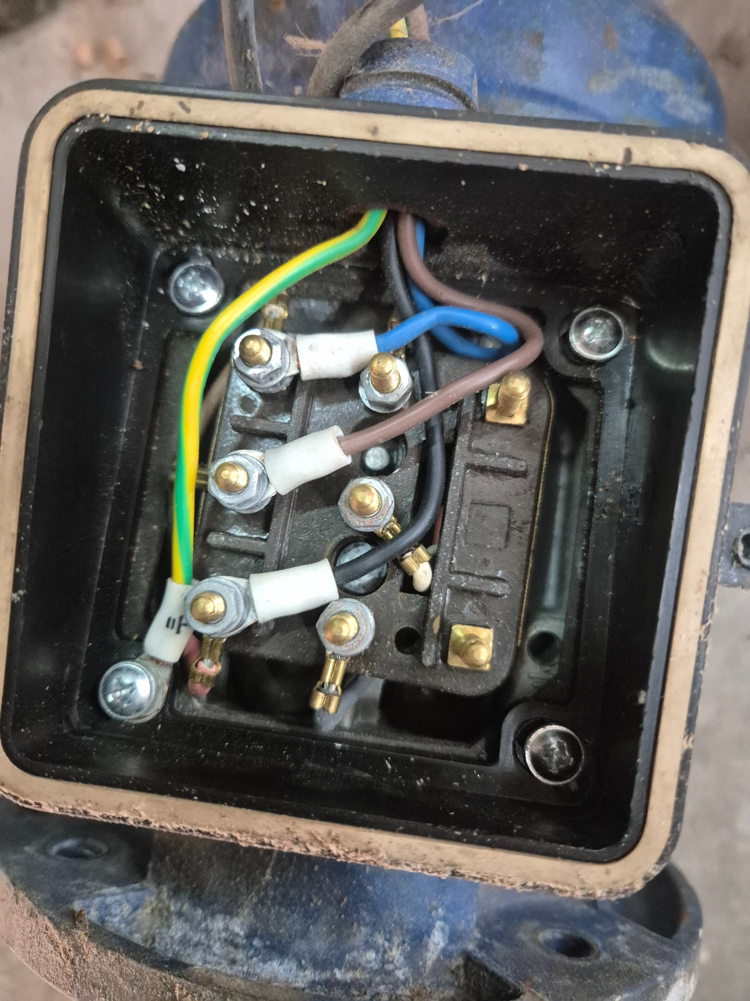 Otwarta puszka elektryczna z widocznymi przewodami (żółto-zielony, brązowy, niebieski, czarny) podłączonymi do zacisków. Widoczne śruby mocujące.