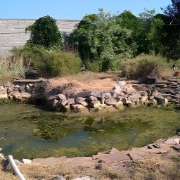 AQUAPRUD - Brudny staw przed czyszczeniem.