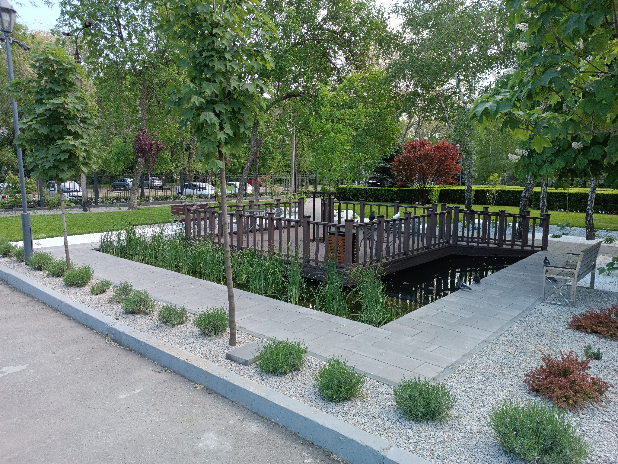 Staw z drewnianym mostkiem w otoczeniu zieleni i kamiennej ścieżki. Elementy małej architektury, roślinność wodna i ozdobne krzewy tworzą relaksującą przestrzeń.