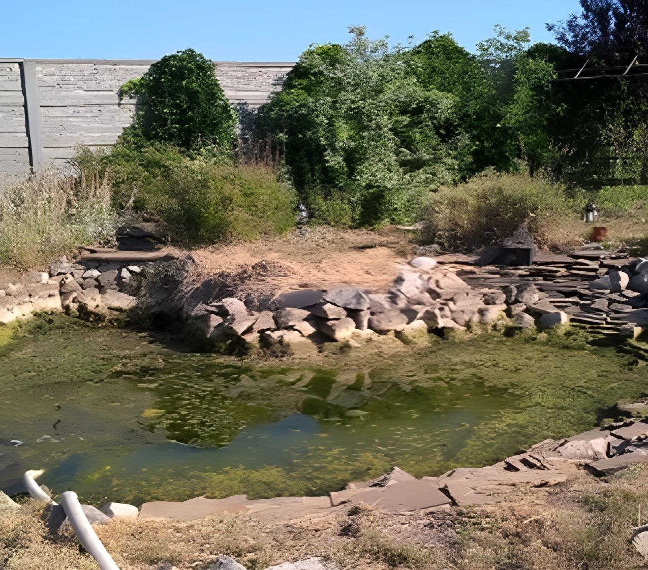 Brudny staw przed czyszczeniem.