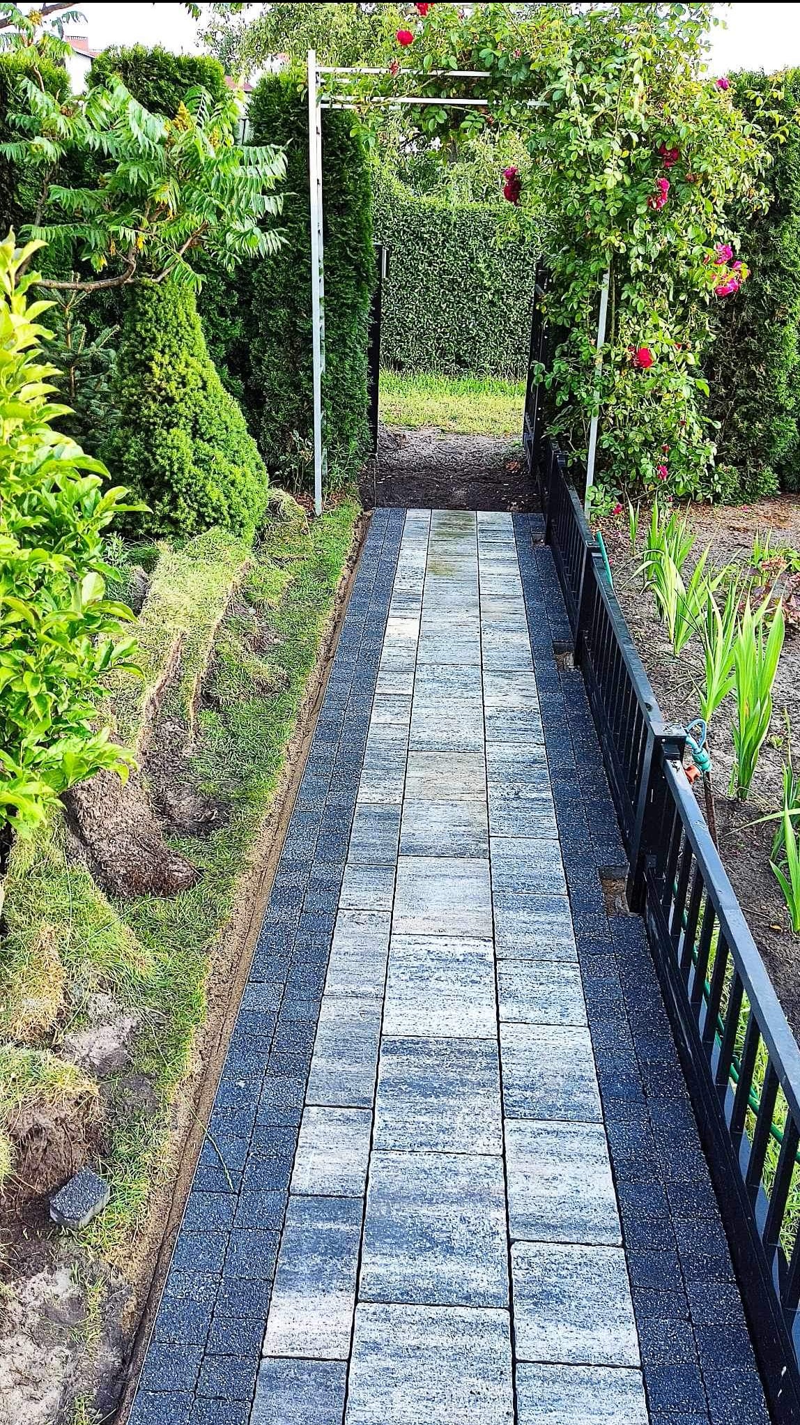 Ścieżka z kostki brukowej w ogrodzie, z obrzeżami z ciemnej kostki. W tle brama porośnięta różami i zielenią. Częściowo wykopany teren pod trawnik po lewej.