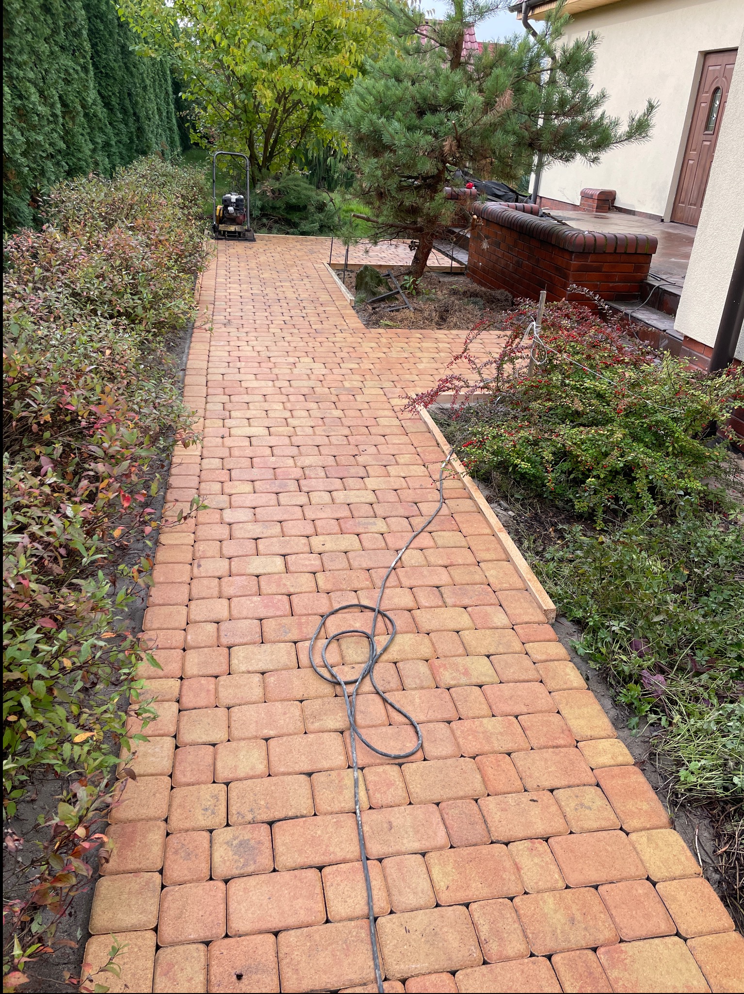 Ułożona, brązowo-pomarańczowa kostka brukowa tworząca ścieżkę w ogrodzie, widoczna zagęszczarka w tle i kabel elektryczny na kostce.