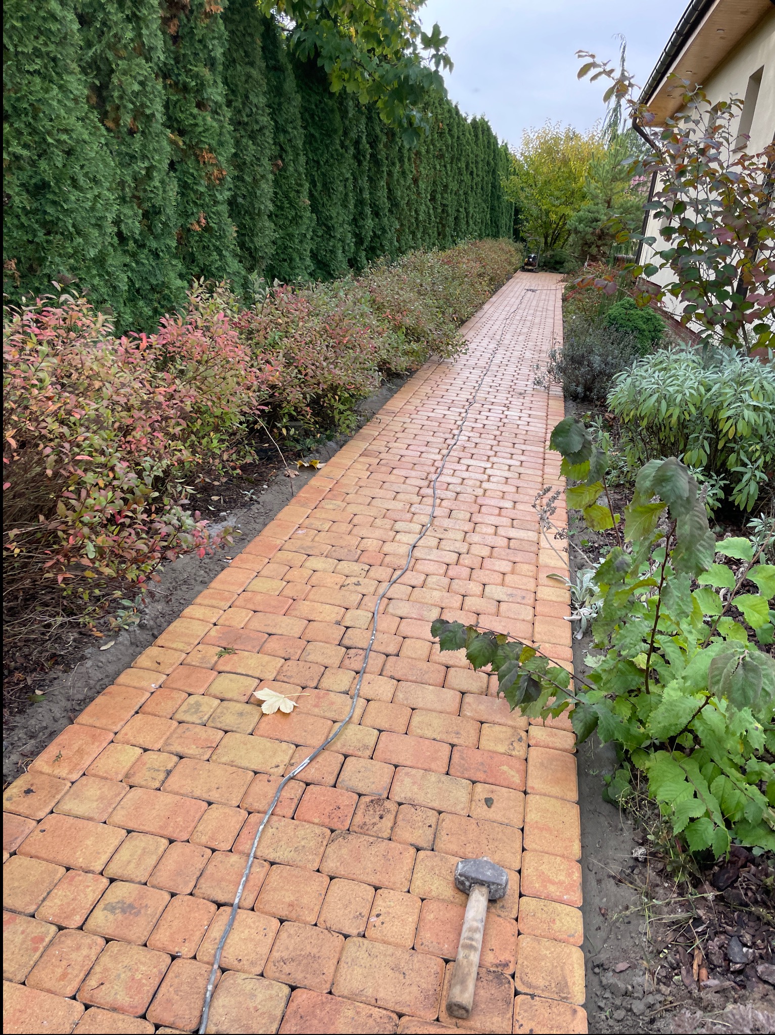 Ułożona ścieżka z ceglanej kostki brukowej w ogrodzie, z widocznym młotkiem brukarskim i kablem, otoczona zielenią.