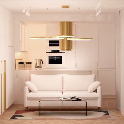 Ewa Stankiewicz EST Interior - Jasne wnętrze: sofa przed marmurową wyspą kuchenną. Złote akcenty: lampa, okap i detale szafek. Parkiet w jodełkę i designerski dywan uzupełniają wystrój.