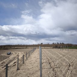 Helio Ground - Rząd metalowych słupków wbitych w ziemię na polu, prawdopodobnie pod ogrodzenie panelowe. Widoczne ślady opon i pochmurne niebo w tle.