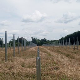 Helio Ground - Rząd metalowych słupków ogrodzeniowych, równo ustawionych na polu z resztkami po żniwach, pod pochmurnym niebem. Widok w perspektywie zbieżnej.
