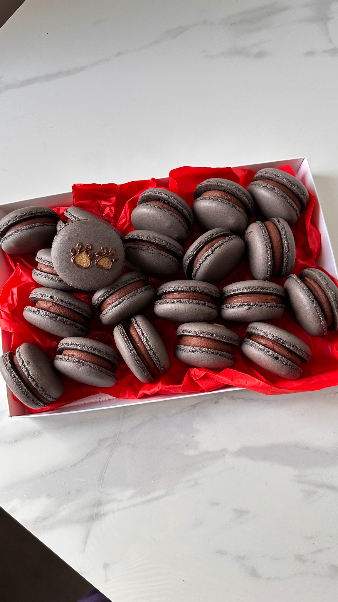 Szare makaroniki z czekoladowym kremem w białym pudełku z czerwoną bibułą. Jeden makaronik zdobiony złotymi odciskami łapek. Słodki upominek.