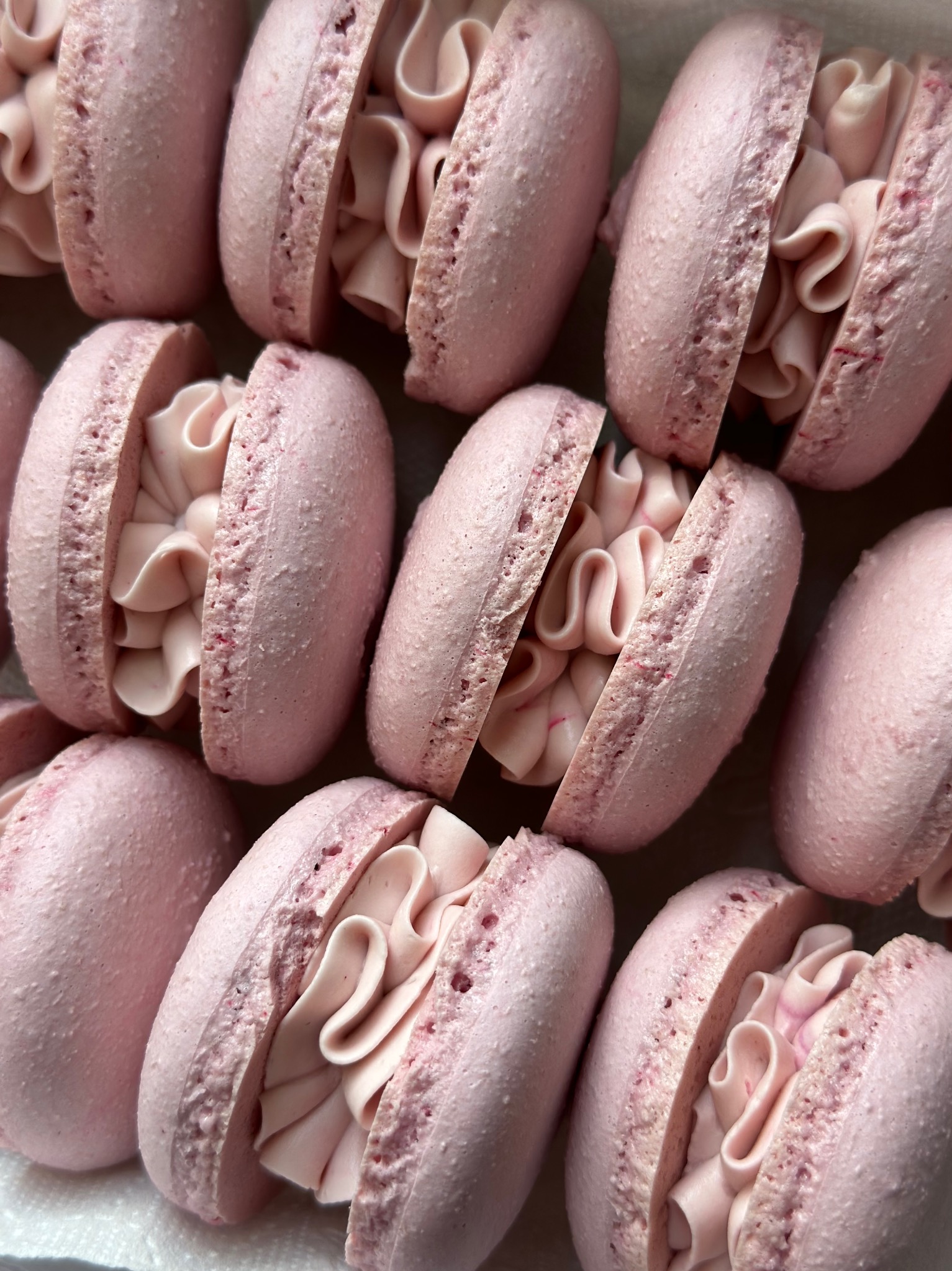 Różowe makaroniki z kremem, ułożone w rzędach, widoczne detale tekstury i kremowego nadzienia, delikatne światło podkreśla pastelowy odcień.