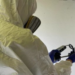 Dezynsekcja i deratyzacja Szczecin 2