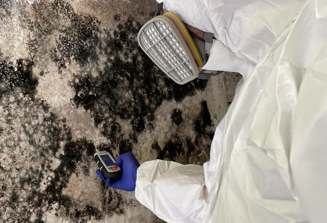 Pracownik w kombinezonie mierzy wilgotność ściany pokrytej czarnym nalotem, prawdopodobnie pleśnią, za pomocą elektronicznego miernika.