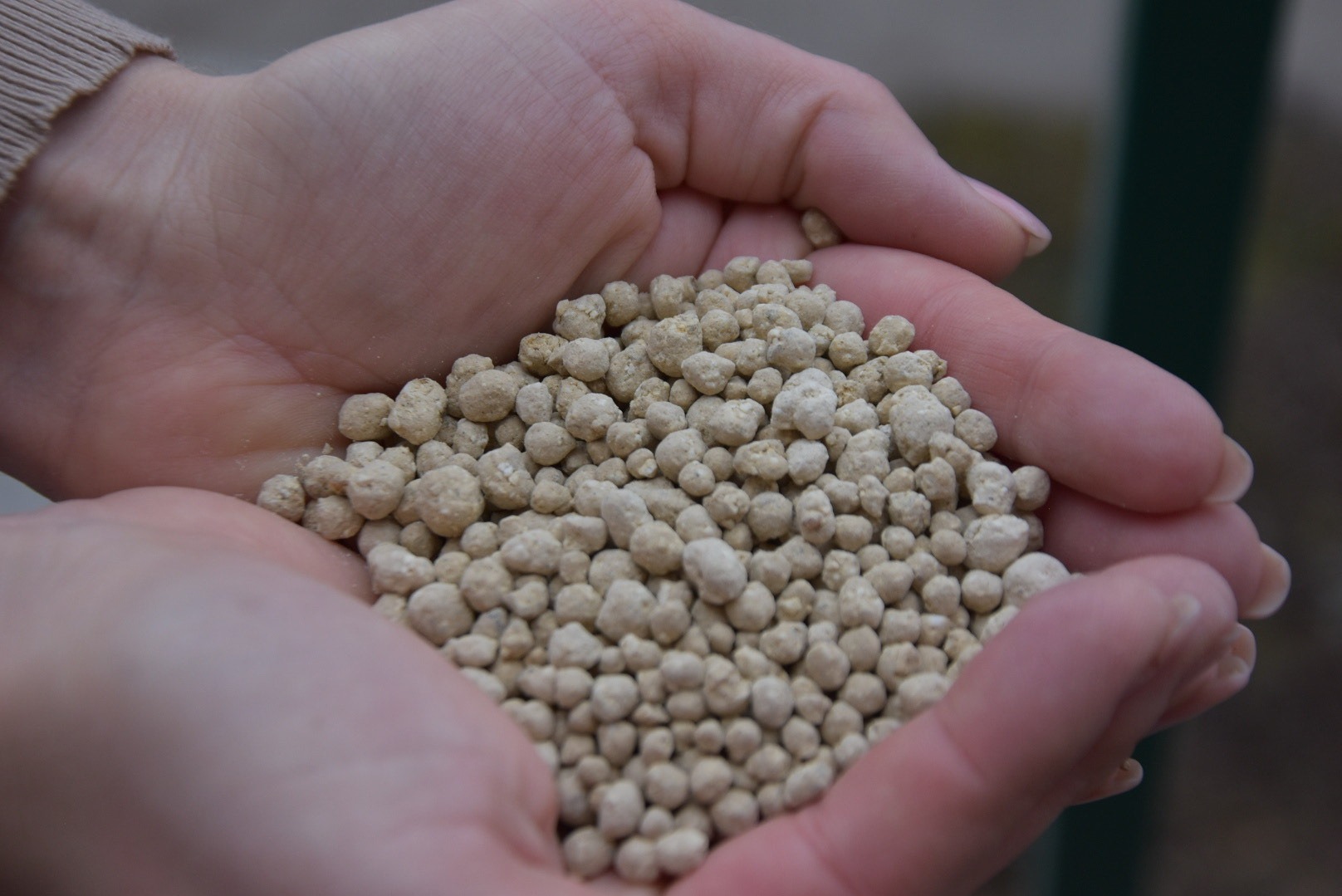 Dłonie trzymające granulowany, beżowy produkt, prawdopodobnie nawóz mineralny, z widoczną strukturą i nierównościami granulek. Delikatne oświetlenie podkreśla fakturę.