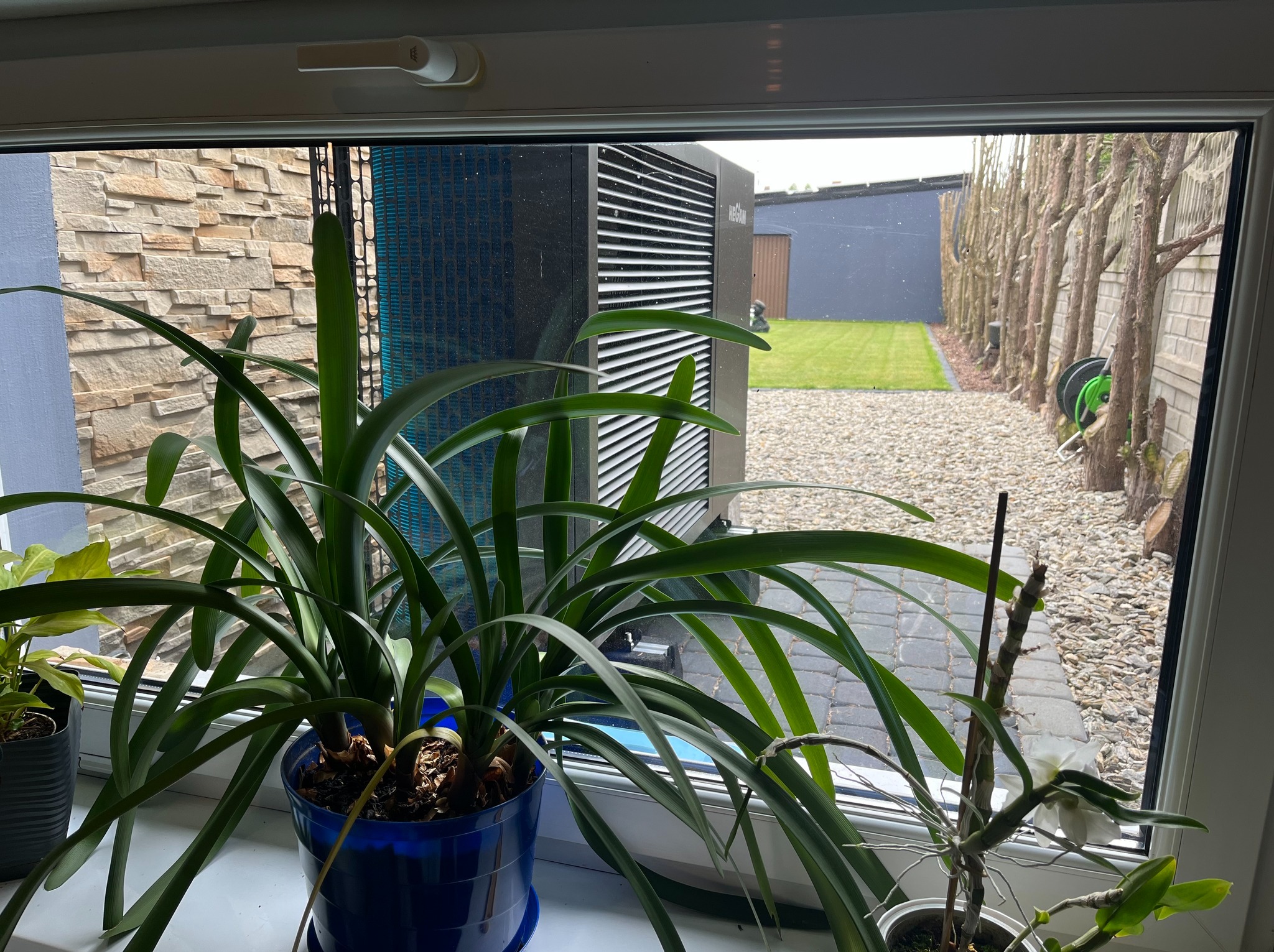 Widok z okna na zainstalowaną pompę ciepła w ogrodzie, przesłoniętą częściowo roślinami doniczkowymi na parapecie. Widoczne tło z ogrodem i elementami architektury.