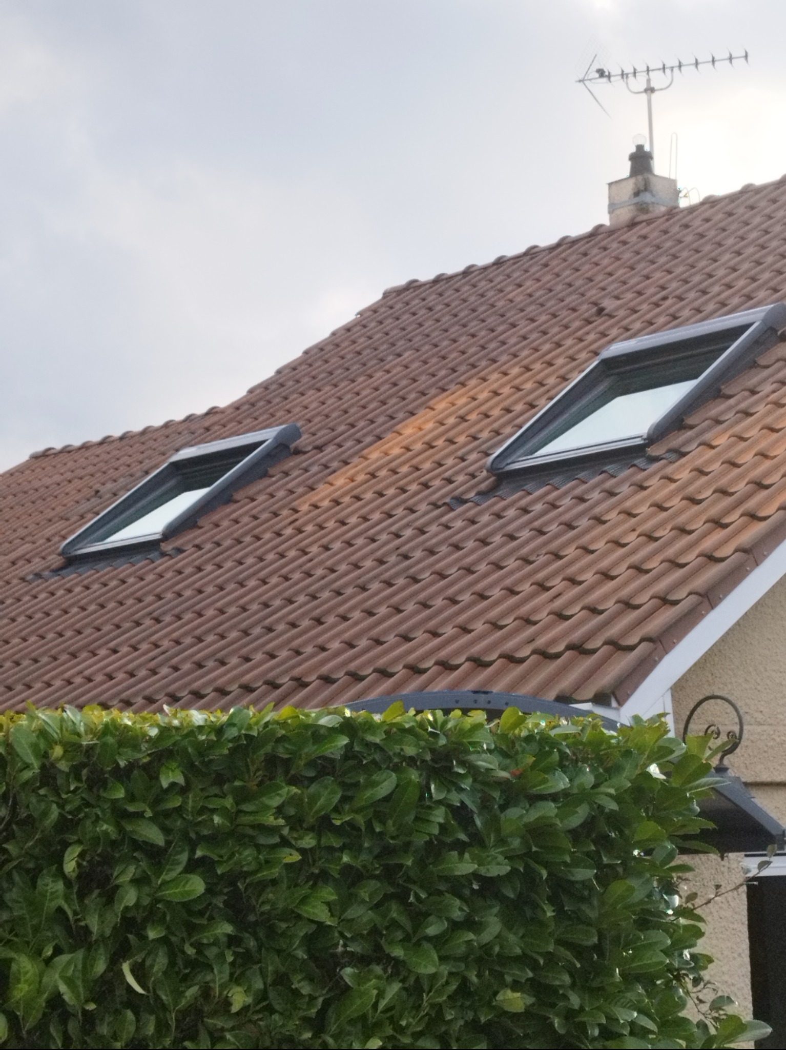 Czerwona dachówka z dwoma oknami dachowymi i kominem z anteną TV, widziana zza zielonego żywopłotu. Lekkie zachmurzenie.