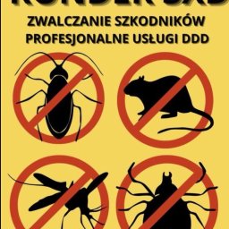 Dezynsekcja i deratyzacja Mieroszów 1