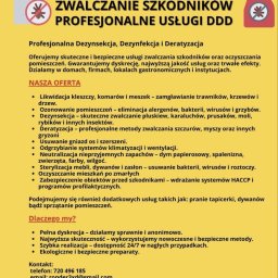 Dezynsekcja i deratyzacja Mieroszów 2