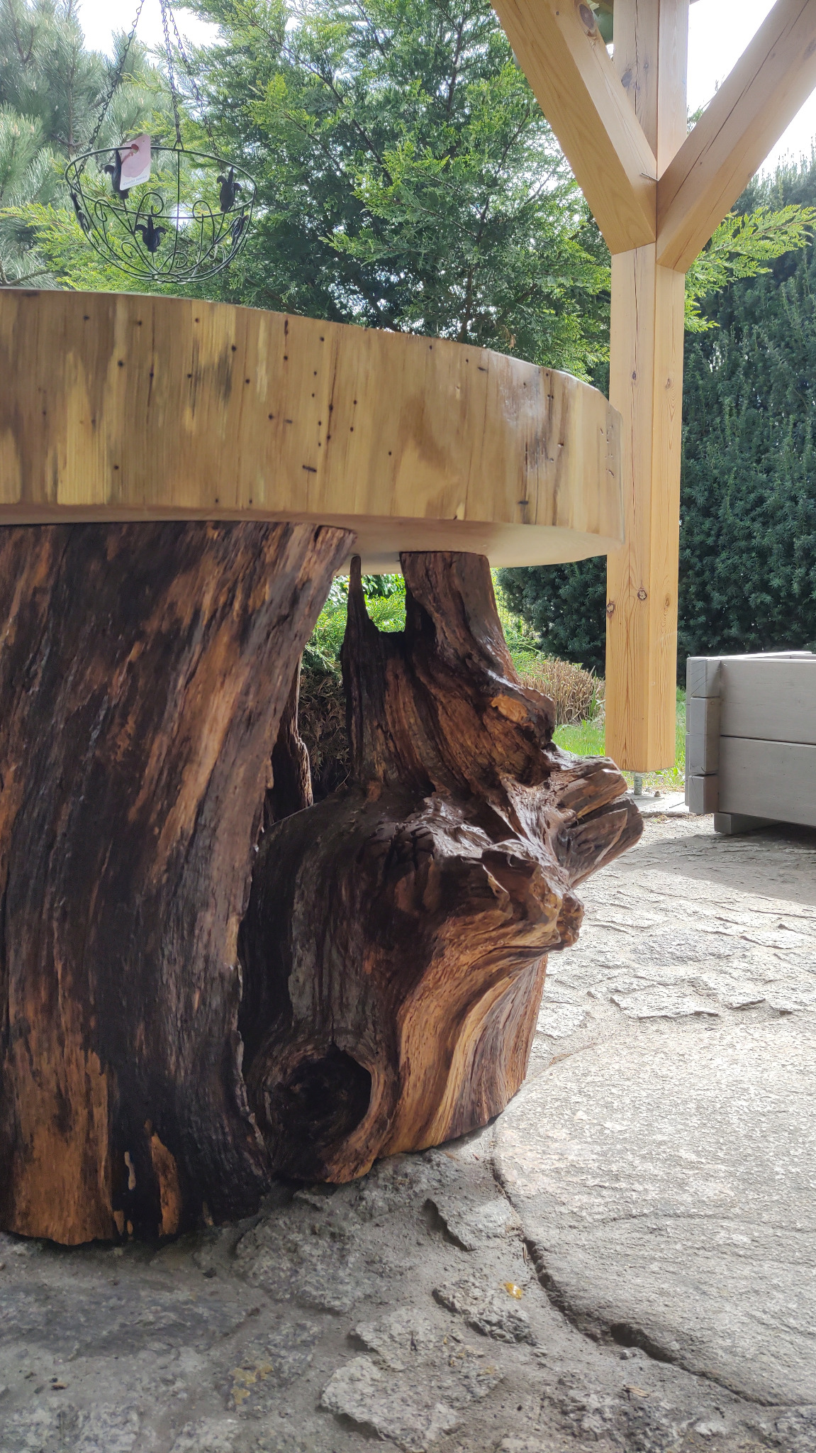 Stolik kawowy z blatem z jasnego drewna, osadzony na unikatowej podstawie z korzenia drzewa. W tle widoczna drewniana konstrukcja altany i zieleń.