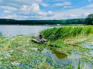 Koszenie trzcin na stawie kosiarką amfibijną TRUXOR