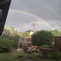 Ogród z kwitnącymi krzewami i drzewami, drabina oparta o ogrodzenie z cegły, w tle dom i podwójna tęcza na pochmurnym niebie.