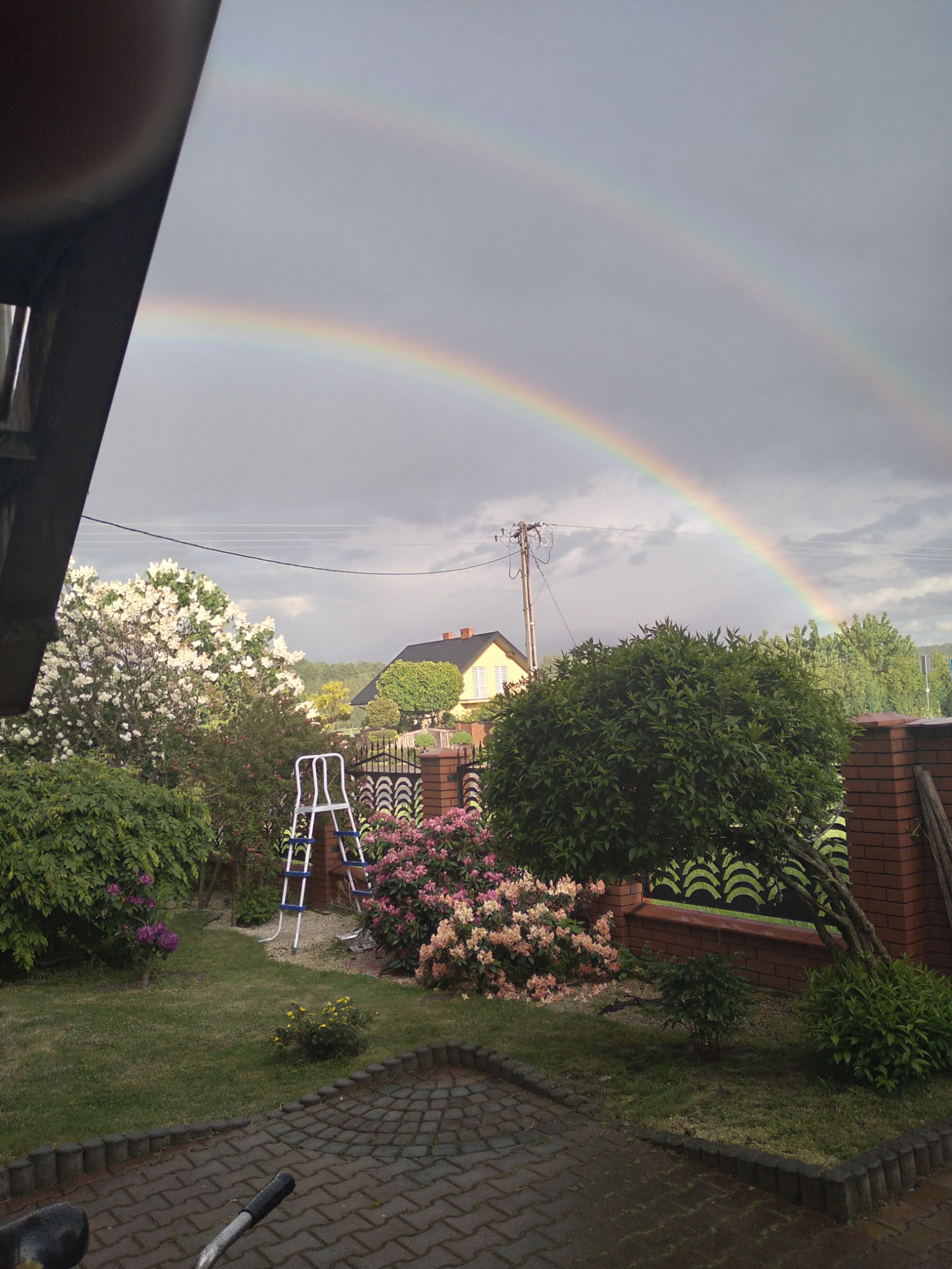 Ogród z kwitnącymi krzewami i drzewami, drabina oparta o ogrodzenie z cegły, w tle dom i podwójna tęcza na pochmurnym niebie.