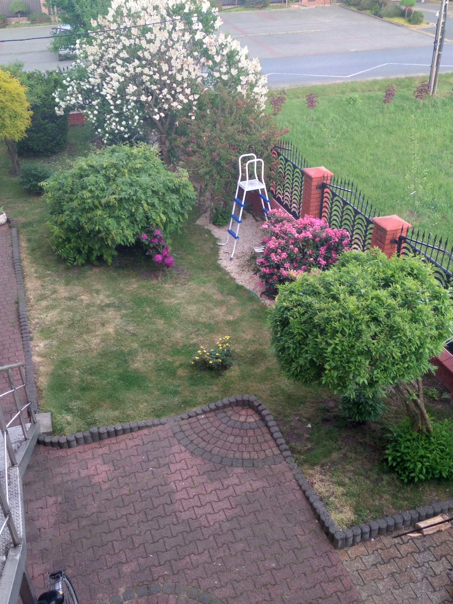 Ogród z perspektywy balkonu: kwitnące drzewa, krzewy różowe, trawnik, metalowe ogrodzenie z ceglanymi słupkami i drabina oparta o ogrodzenie.