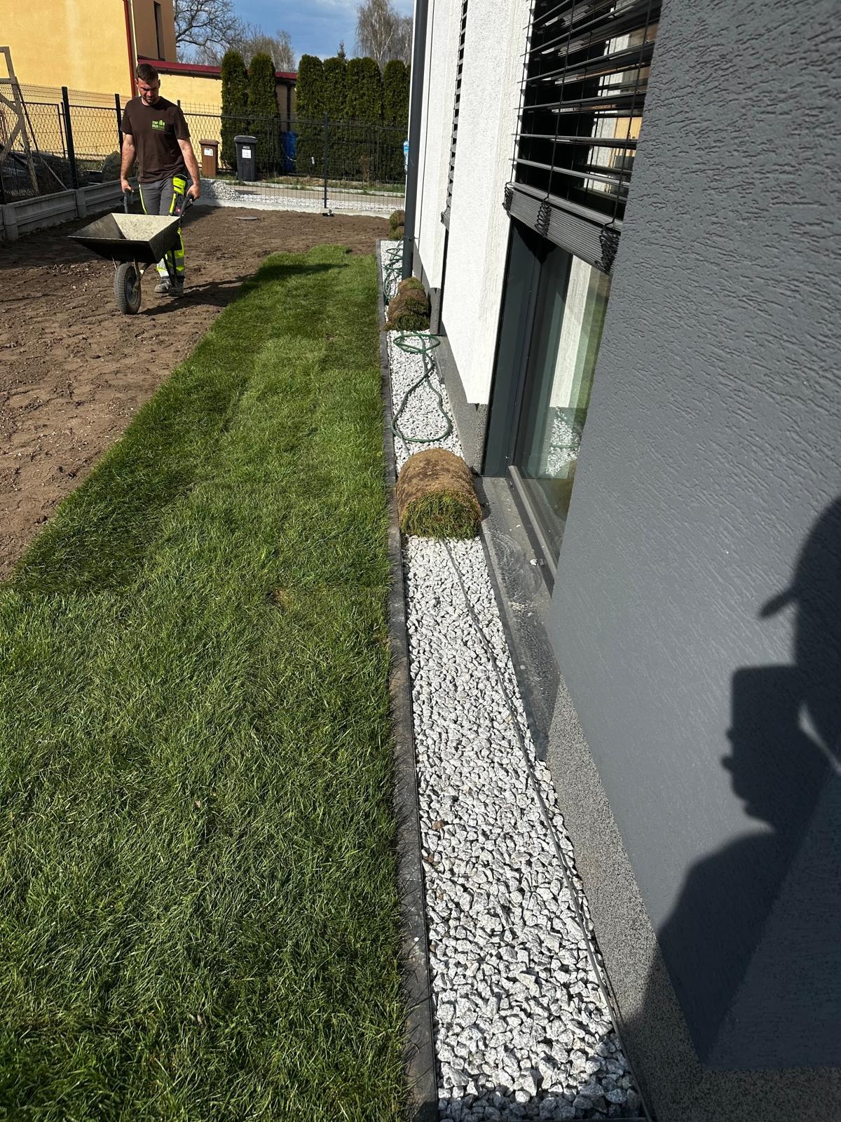 Układanie trawnika z rolki przy domu z szarą elewacją i białym kamieniem ozdobnym. Mężczyzna z taczką w tle.