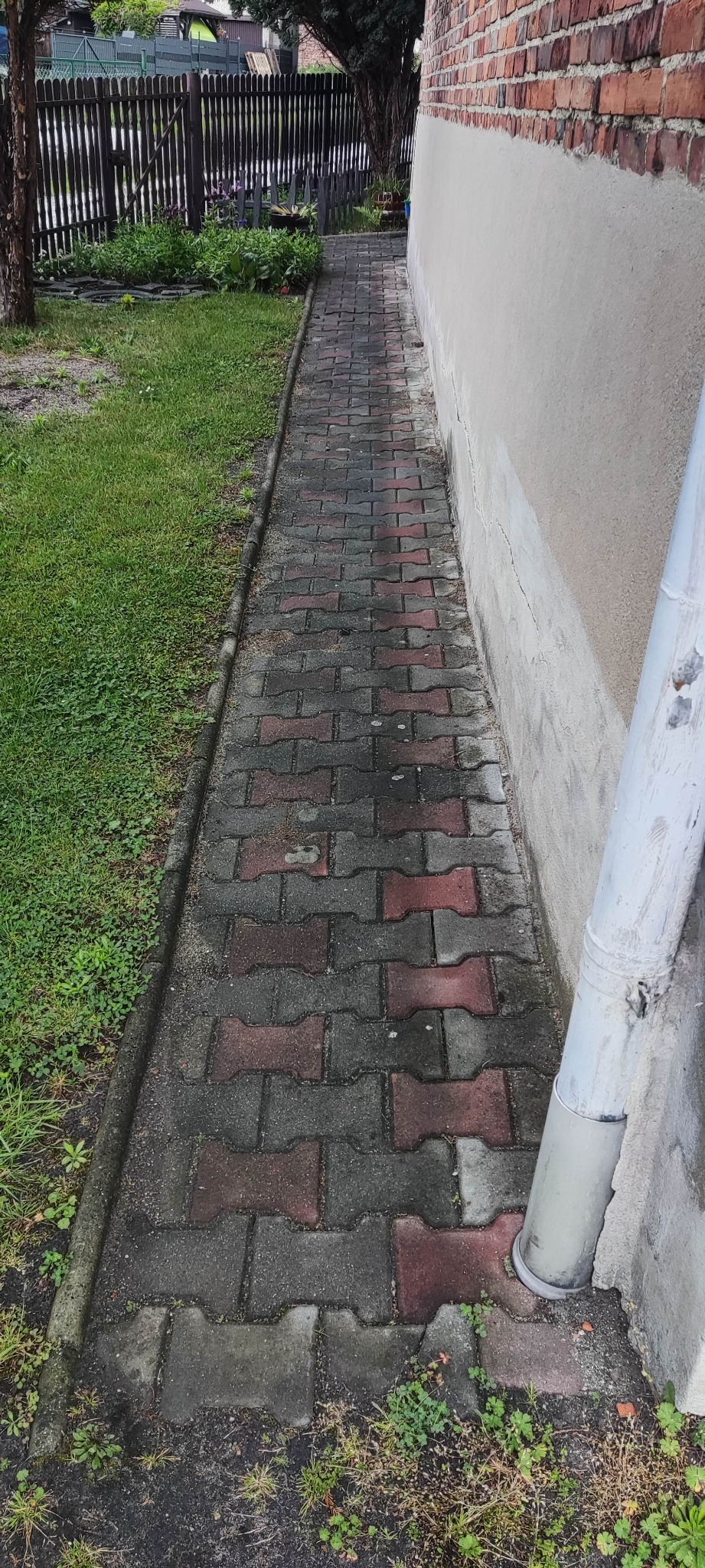 Brudna kostka brukowa wzdłuż ściany budynku z rynną spustową, widoczne zabrudzenia i mech, trawa po lewej stronie ścieżki.