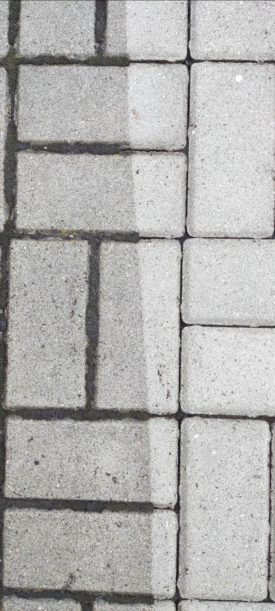 Częściowo wyczyszczona, szara kostka brukowa. Po lewej stronie widoczny brud i mech, po prawej czysta powierzchnia. Układ pionowy.