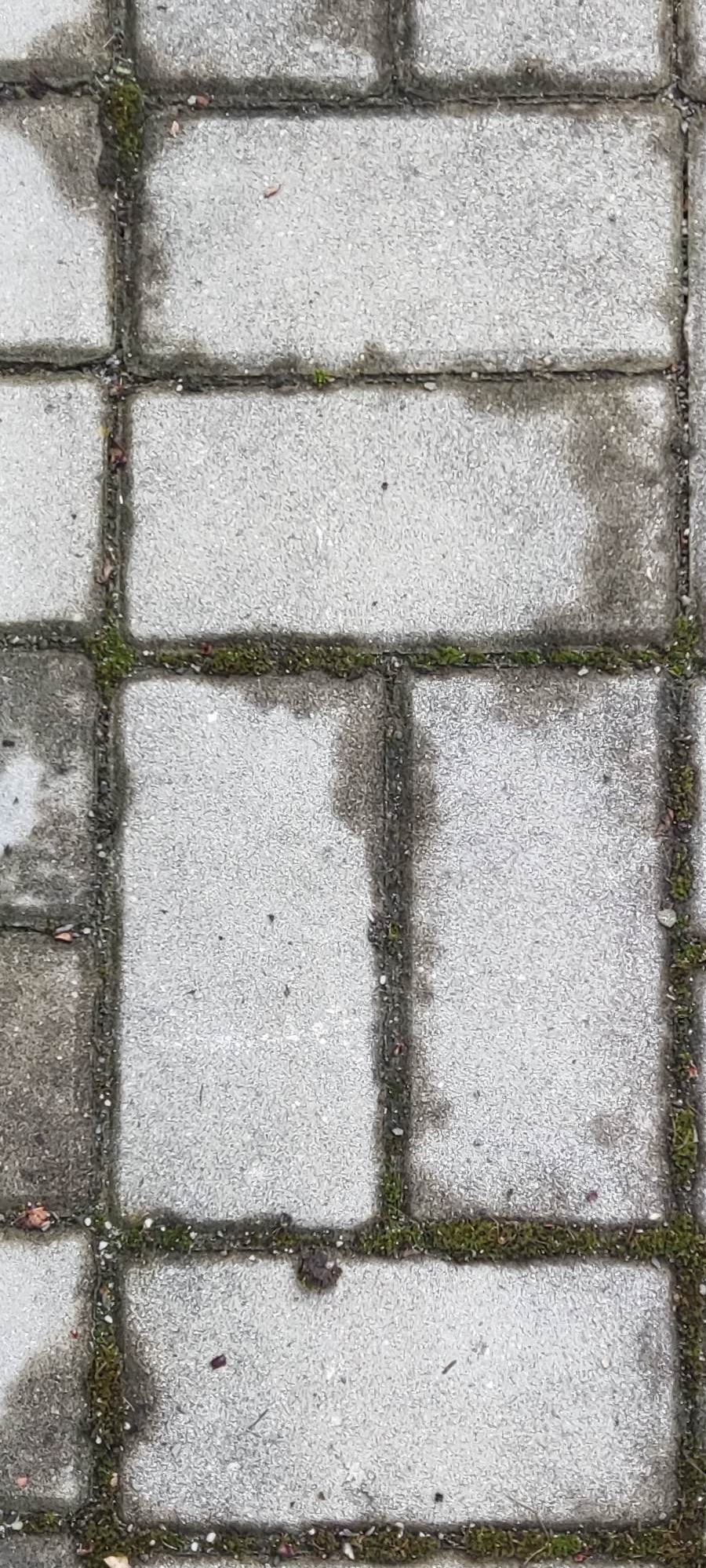 Szare, prostokątne płyty chodnikowe z mchem w szczelinach i zaciekami, ukazujące różnice w stopniu zabrudzenia. Widok z góry.