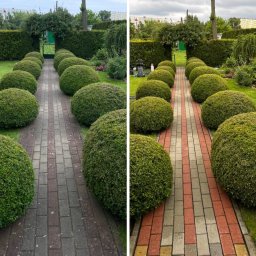 Mycie elewacji Toruń 4