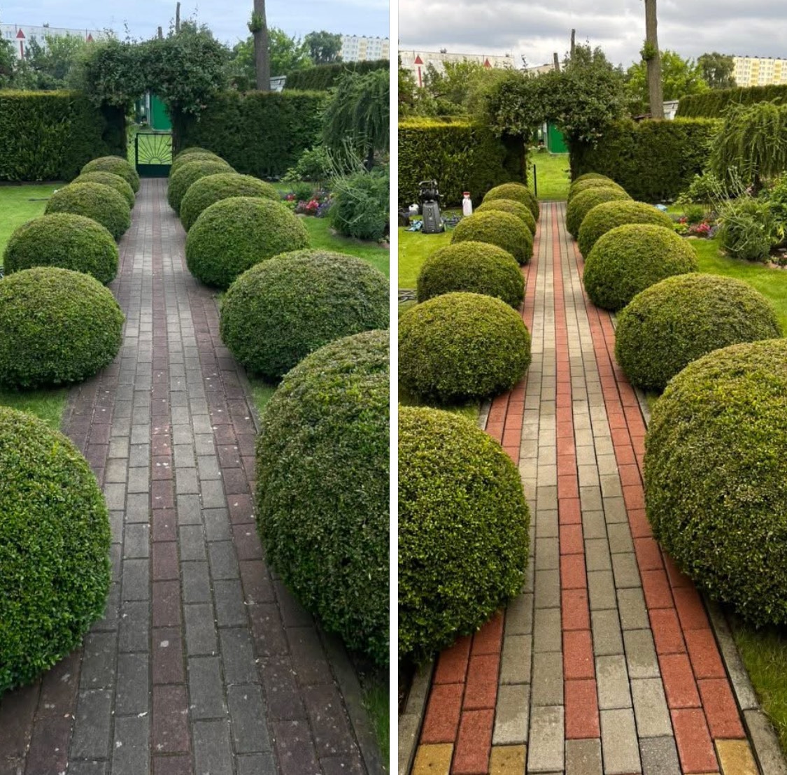 Zdjęcie 'przed i po' mycia kostki brukowej w ogrodzie, prezentujące czystą, czerwoną ścieżkę i zadbane, okrągłe krzewy.