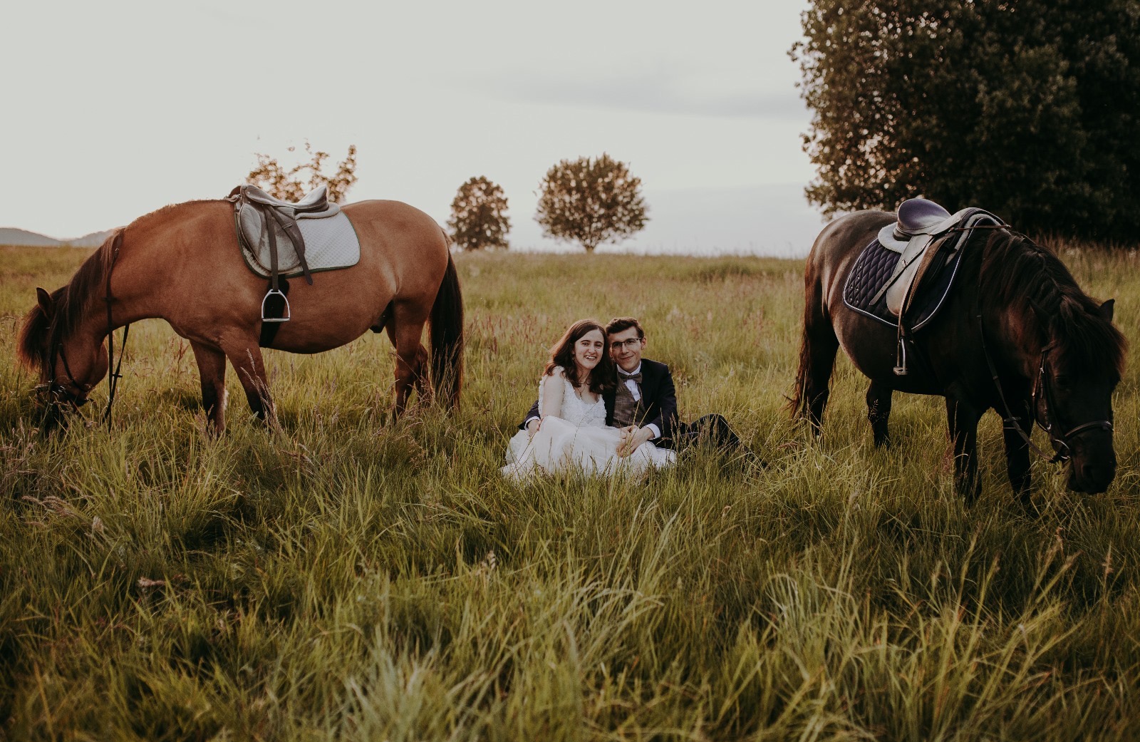 Para młoda siedzi na łące w otoczeniu koni w siodłach. Romantyczna sesja ślubna na tle zieleni i drzew.