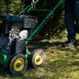 Zakładanie ogrodów Tenczynek 1