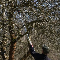 Zakładanie ogrodów Tenczynek 3