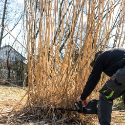 Zakładanie ogrodów Tenczynek 4