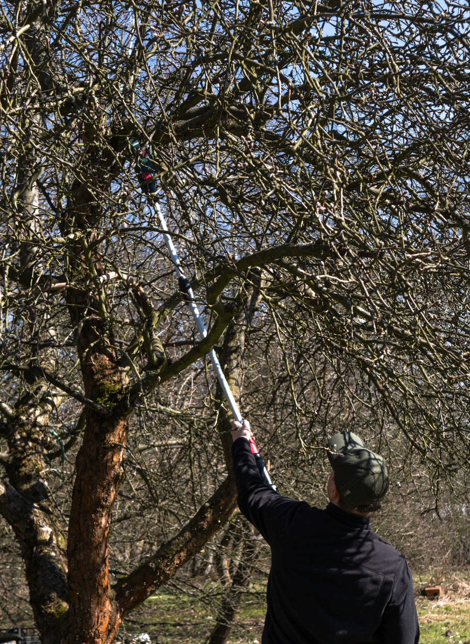 Osoba w czarnej bluzie przycina gałęzie drzewa za pomocą teleskopowej piły elektrycznej na tle błękitnego nieba w słoneczny dzień. Widok z dołu.