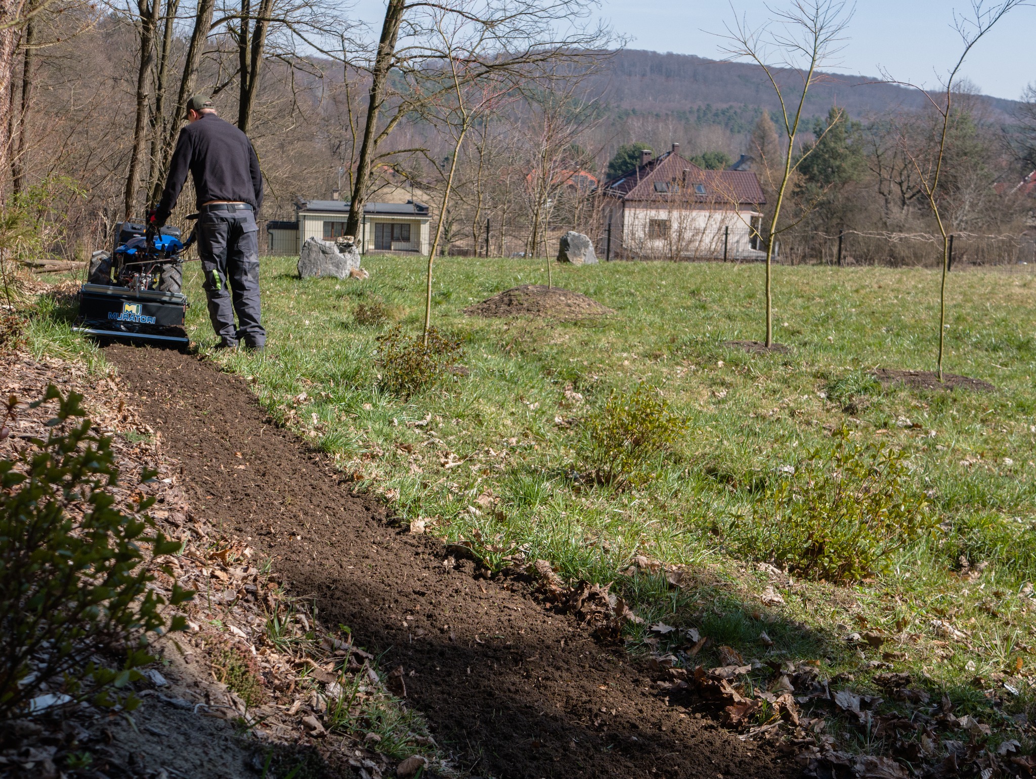 Pracownik używa glebogryzarki Muratori do przygotowania gleby pod nasadzenia w ogrodzie. Widoczne świeżo posadzone drzewka i budynki w tle.