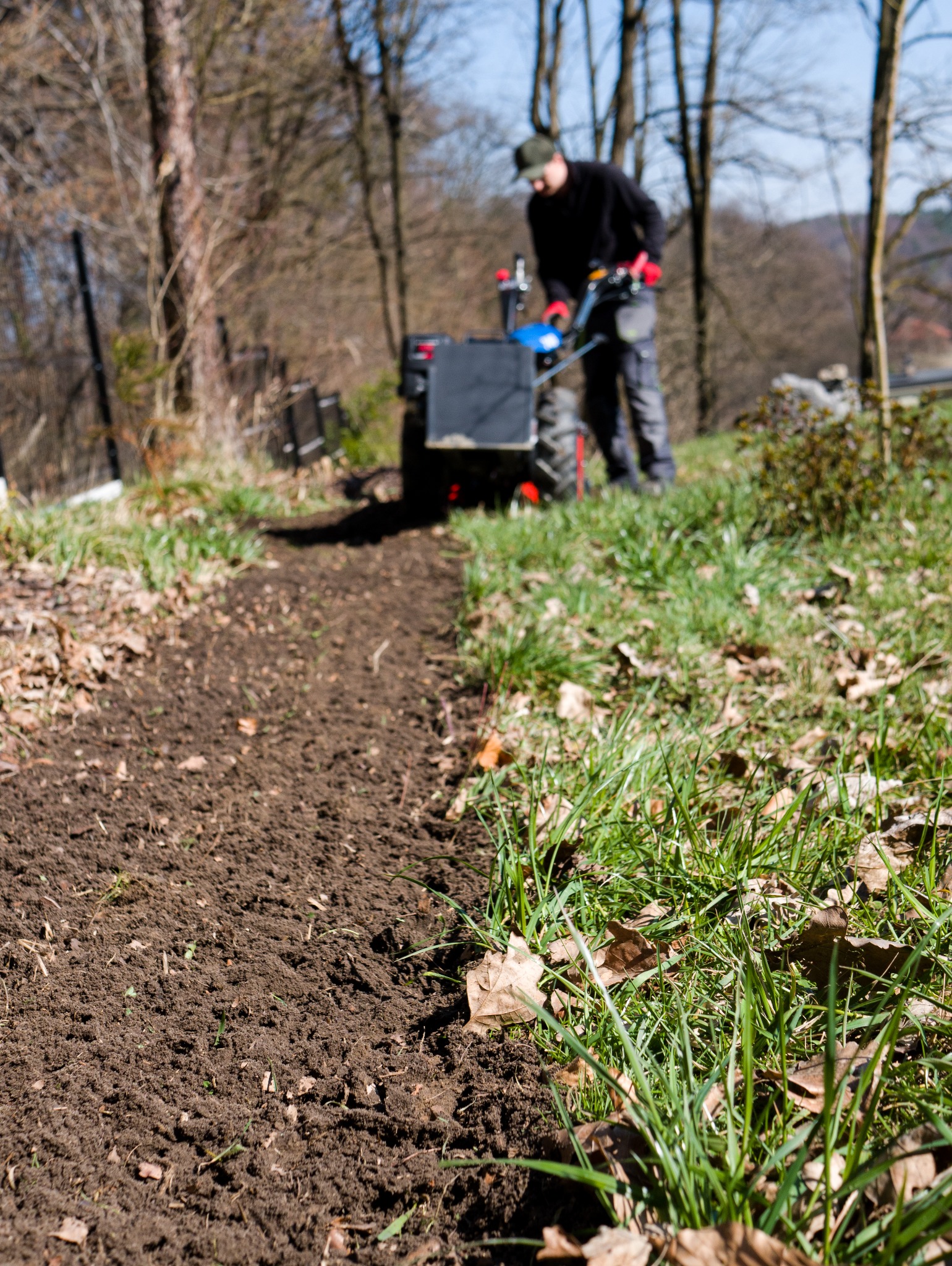 Człowiek używa glebogryzarki do spulchniania ziemi w ogrodzie. Świeżo przekopana gleba kontrastuje z zieloną trawą. W tle drzewa bez liści.