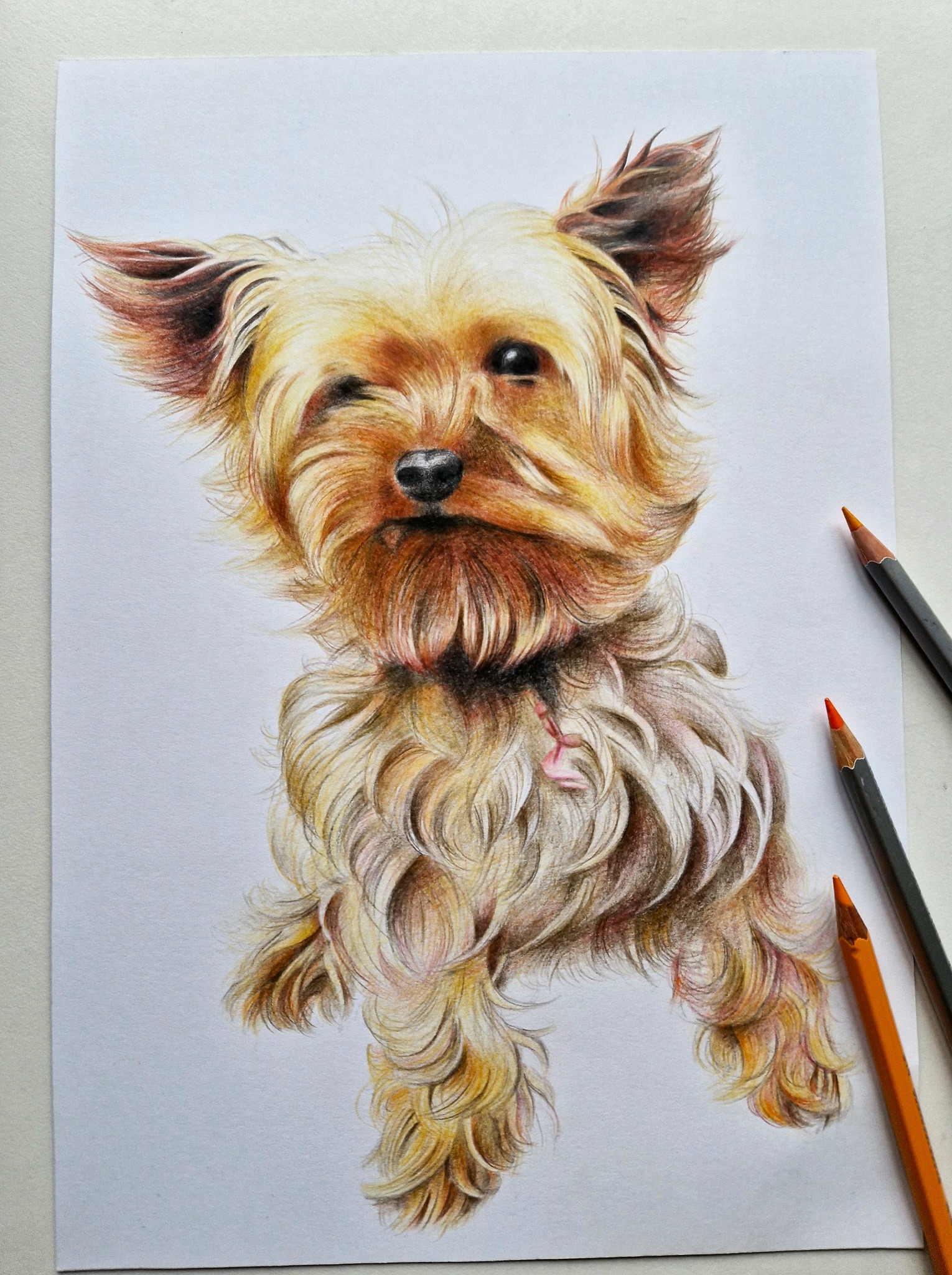 Ręcznie rysowany portret psa rasy Yorkshire Terrier z przymrużonym okiem, wykonany kredkami na białym papierze, z widocznymi kredkami obok.