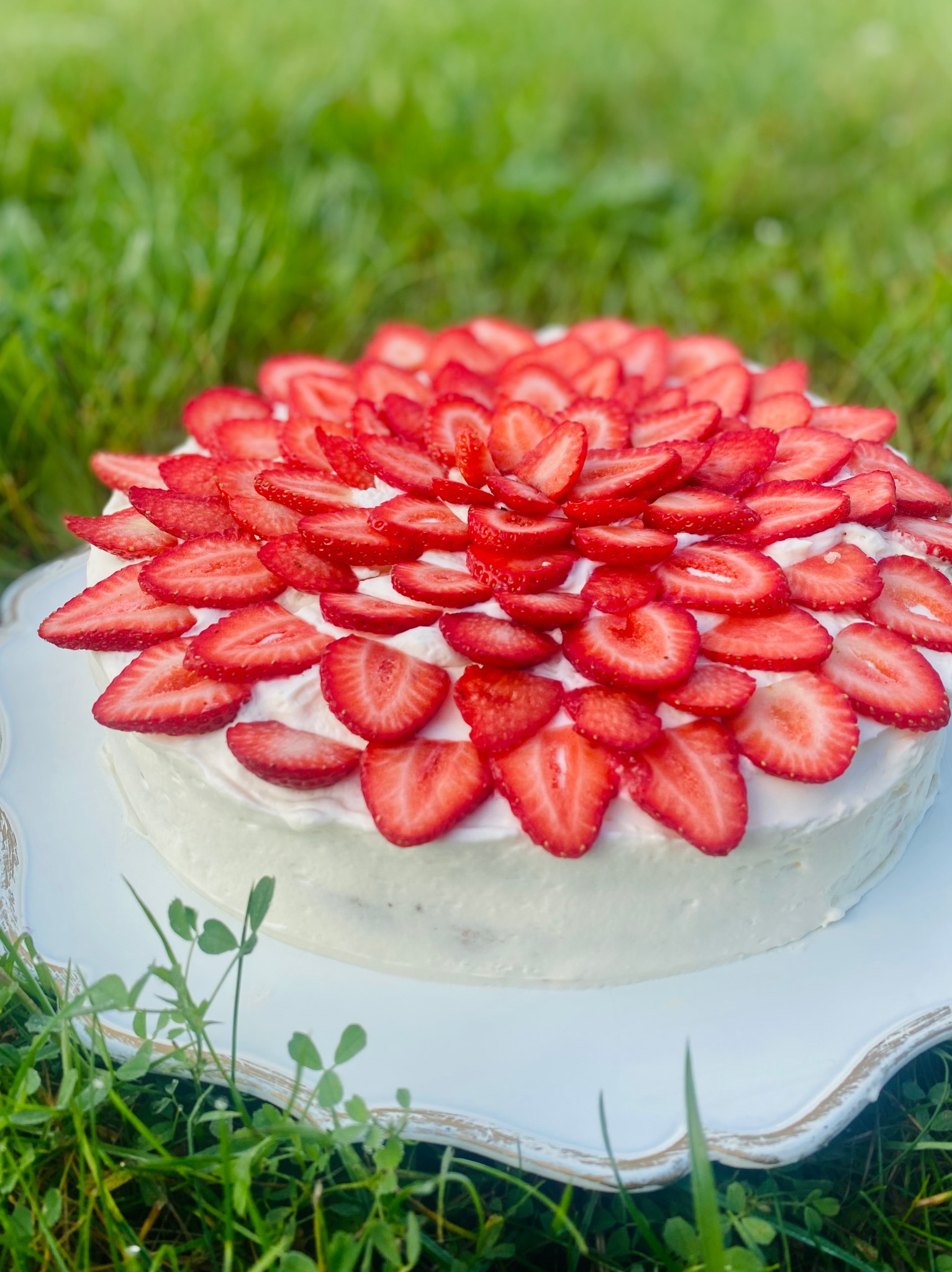 Kremowy tort udekorowany świeżymi, soczystymi truskawkami, prezentowany na ozdobnym talerzu na tle zielonej trawy. Naturalne światło podkreśla apetyczny wygląd.