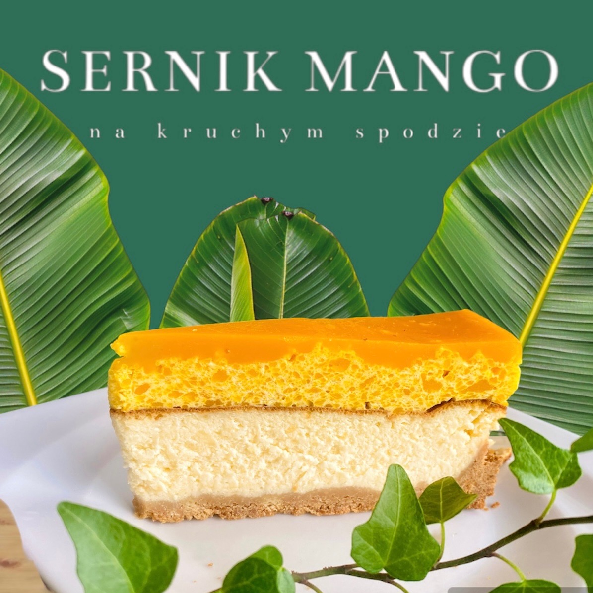Kawałek sernika mango na kruchym spodzie, dekorowany zielonymi liśćmi, na białym talerzu. Tropikalne liście w tle. Sernik ma wyraźną warstwę mango.