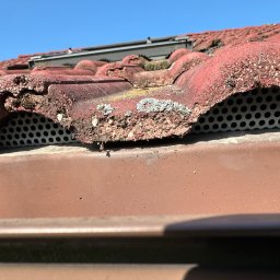 MajsterDACH - Czerwona dachówka ceramiczna z widocznymi śladami mchu i porostów, zabezpieczona perforowaną listwą okapową, na tle błękitnego nieba. Detal z bliska.