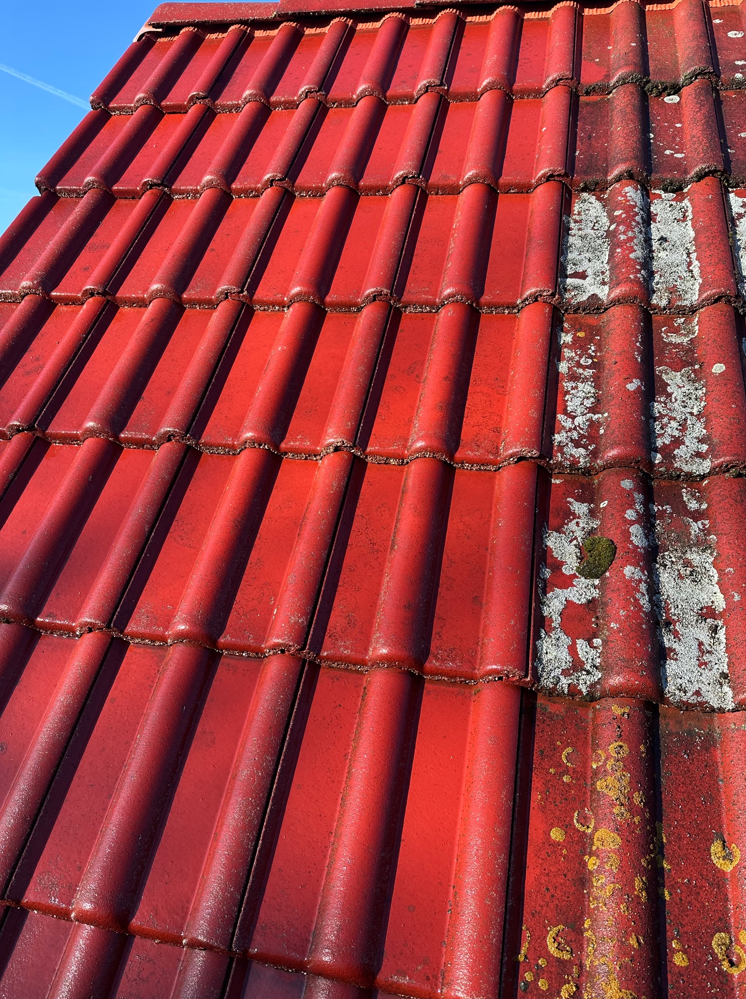 Czerwona dachówka karpiówka po czyszczeniu w Poznaniu, widoczna różnica między umytą a zabrudzoną częścią dachu, mech i porosty. Ujęcie z góry, słoneczny dzień.