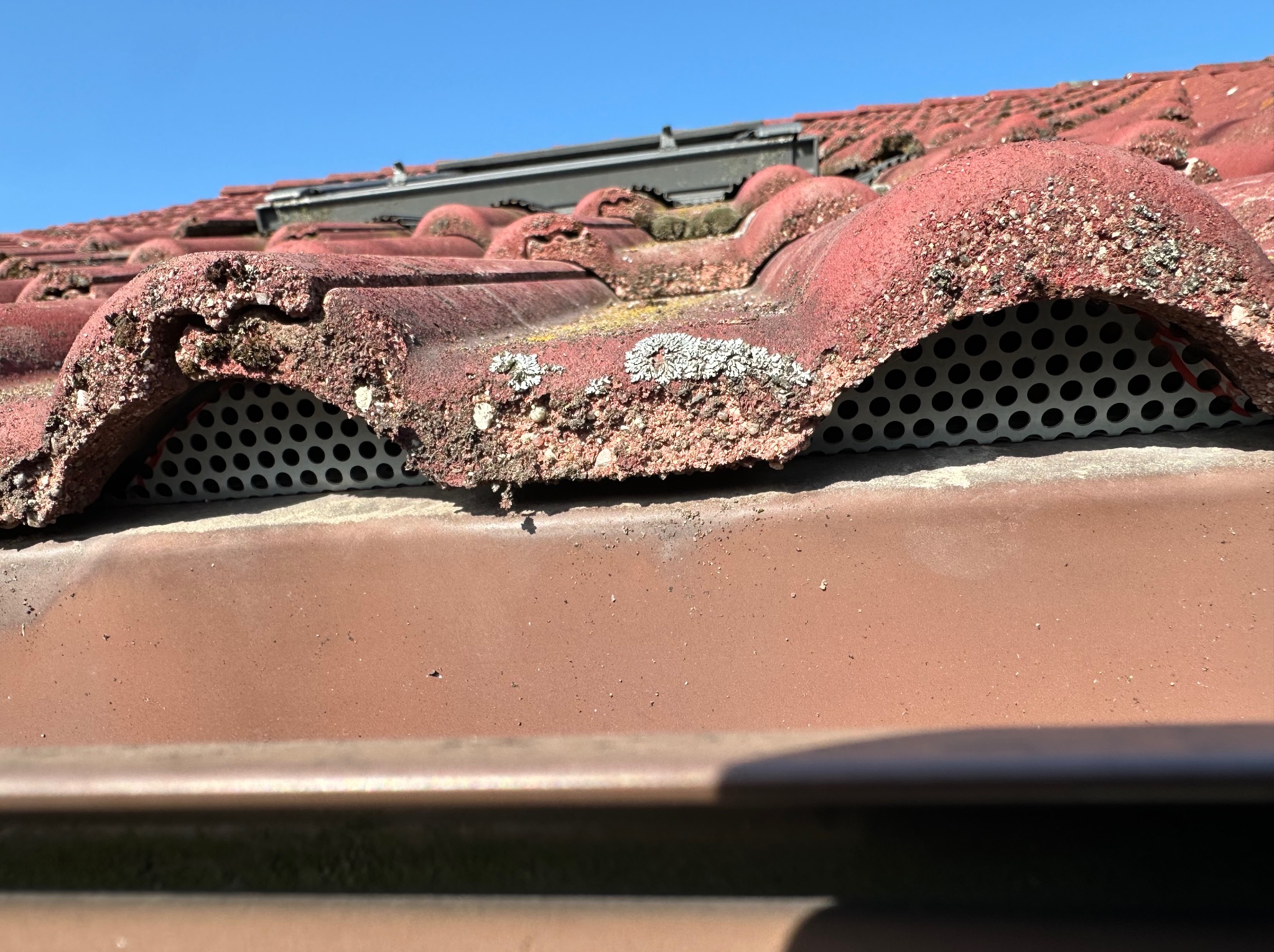 Czerwona dachówka ceramiczna z widocznymi śladami mchu i porostów, zabezpieczona perforowaną listwą okapową, na tle błękitnego nieba. Detal z bliska.