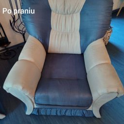 Dawid Najowicz - Wypielęgnowany, dwukolorowy fotel z miękką tapicerką po profesjonalnym czyszczeniu. Widoczne detale: dekoracyjne marszczenia u dołu, kontrastowe barwy.