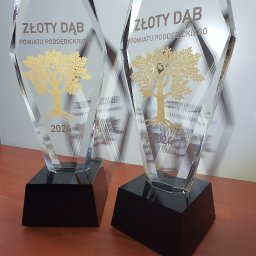 Elegancka statuetka ze szkła z grawerem wypełnionym złotą farbą. Idealna na prestiżowe nagrody i uroczyste podziękowania.