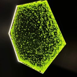 Remont łazienki Łódź 4